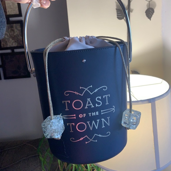 ⛔️SOLD⛔️Authentic KATE SPADE Leather/metal ice bag - Picture 8 of 11